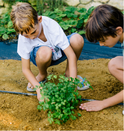 Niños sembrando plantas